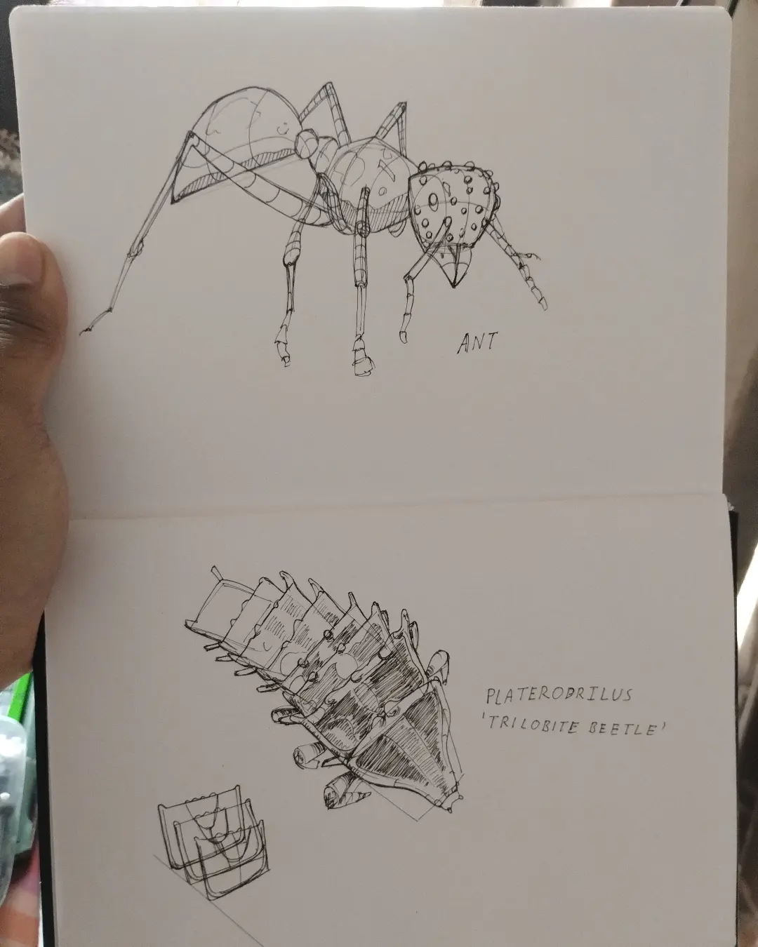 Sketch