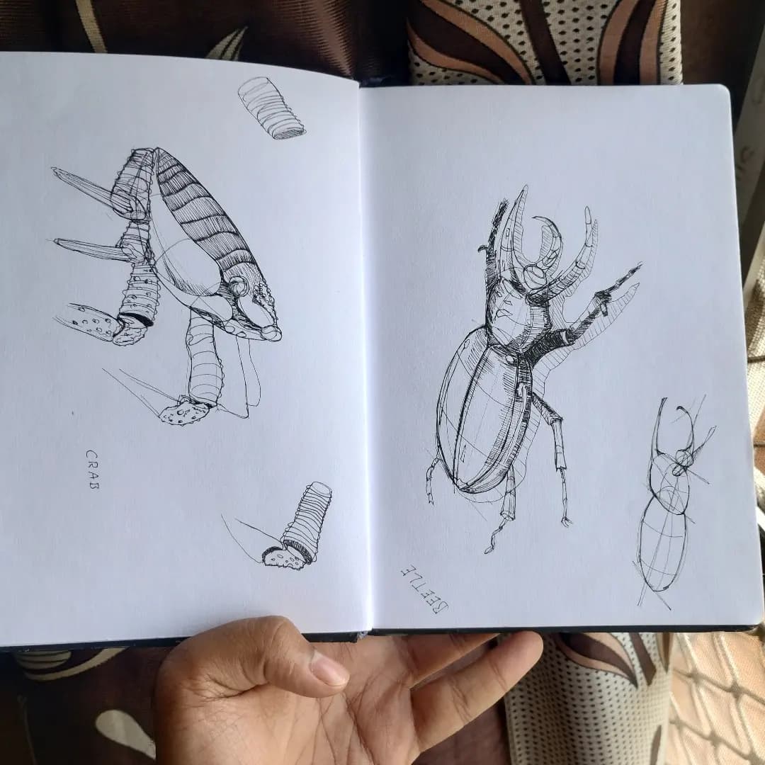 Sketch