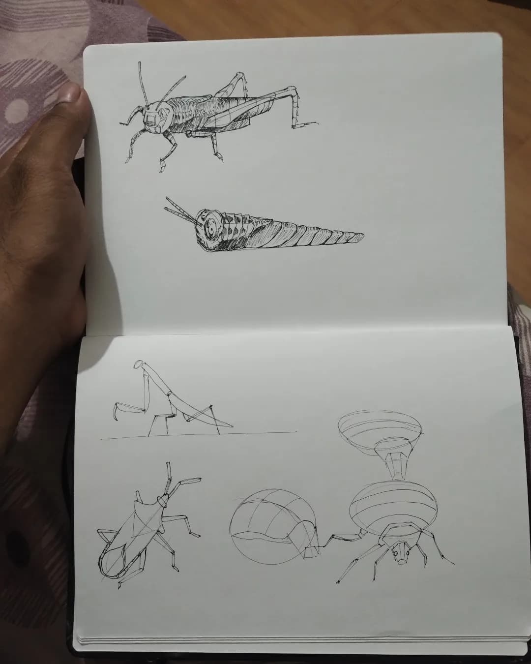 Sketch