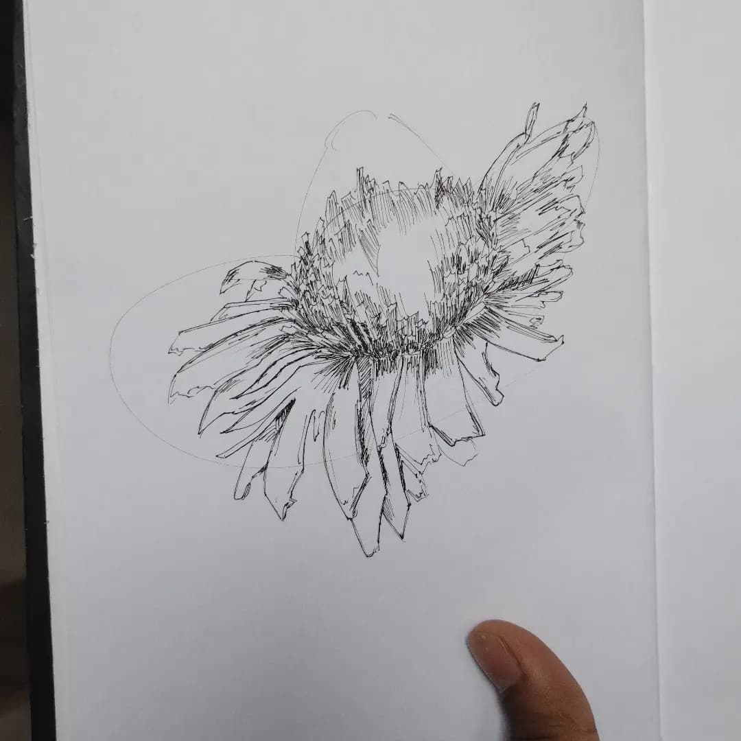 Sketch