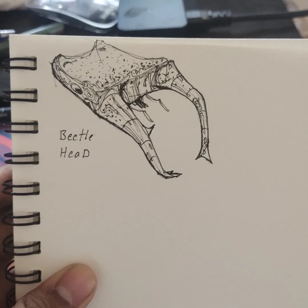 Sketch