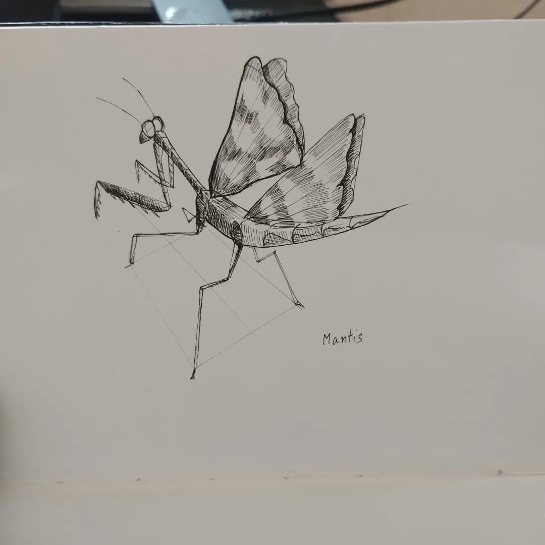 Sketch