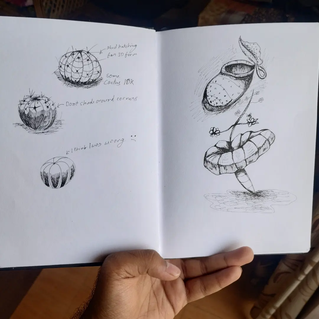 Sketch