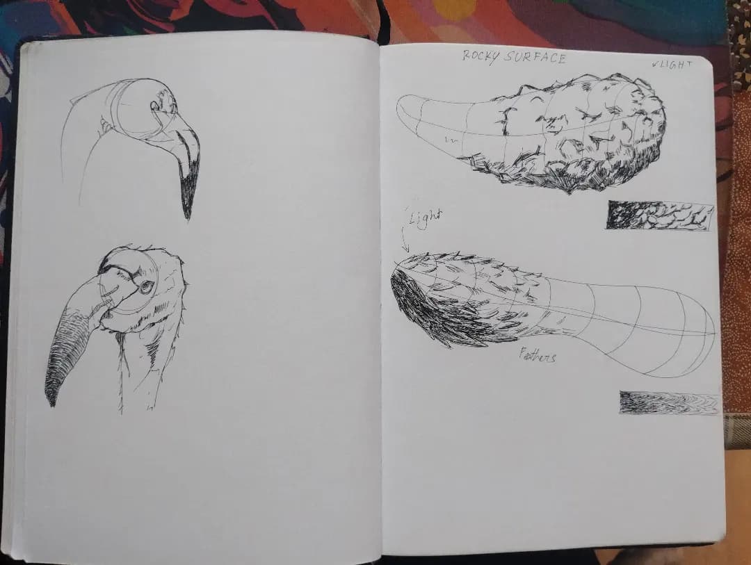 Sketch